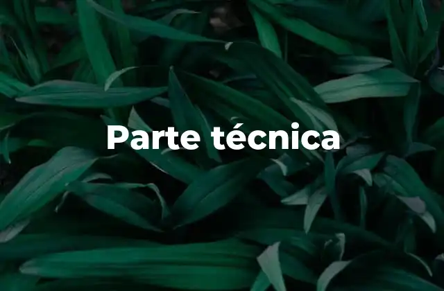 El rol de las partes técnicas en los sistemas complejos