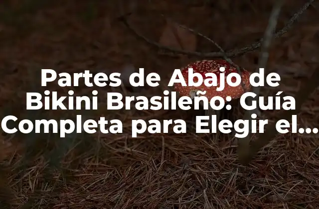 Partes de Abajo de Bikini Brasileño: Guía Completa para Elegir el Modelo Ideal 2 ¿Qué es un Bikini Brasileño?
