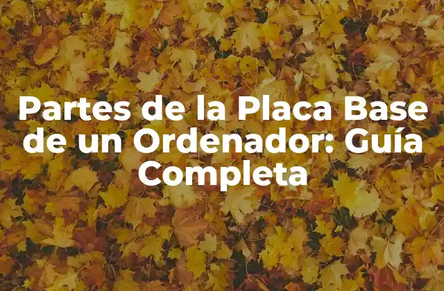 Partes de la Placa Base de un Ordenador: Guía Completa