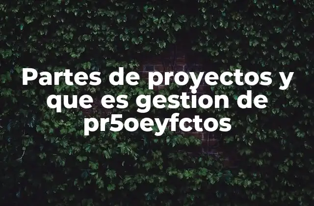 Partes de Proyectos y que es Gestion de Pr5oeyfctos