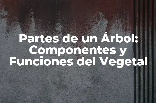 Partes de un Árbol: Componentes y Funciones Del Vegetal