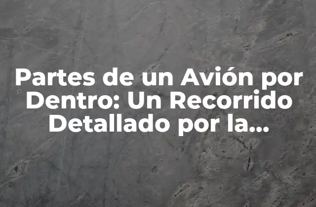 Partes de un Avión por Dentro: un Recorrido Detallado por la Anatomía de un Aeronave