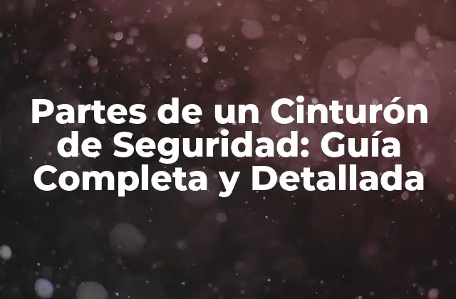 Partes de un Cinturón de Seguridad: Guía Completa y Detallada