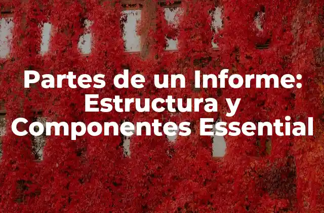 Partes de un Informe: Estructura y Componentes Essential 2 Portada y Título del Informe