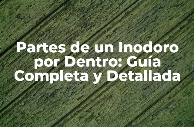 Partes de un Inodoro por Dentro: Guía Completa y Detallada