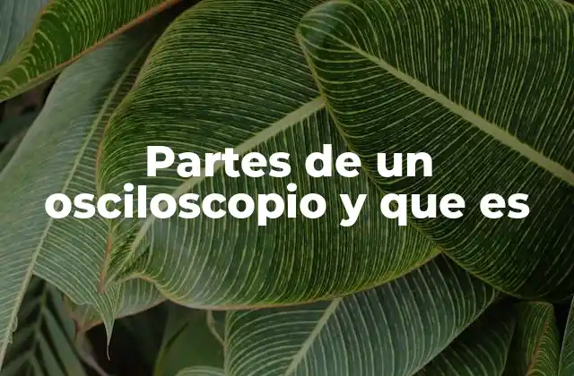 ¿Cómo se clasifican los osciloscopios?