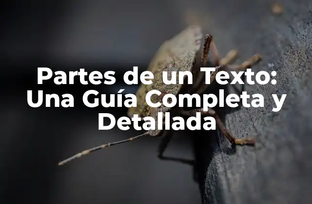 Partes de un Texto: una Guía Completa y Detallada