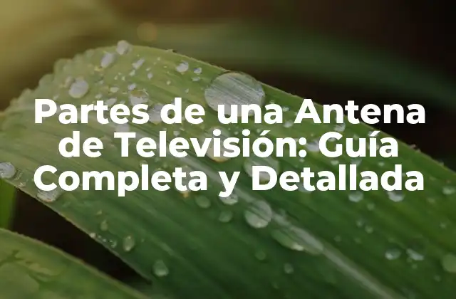 Elementos Básicos de una Antena de Televisión