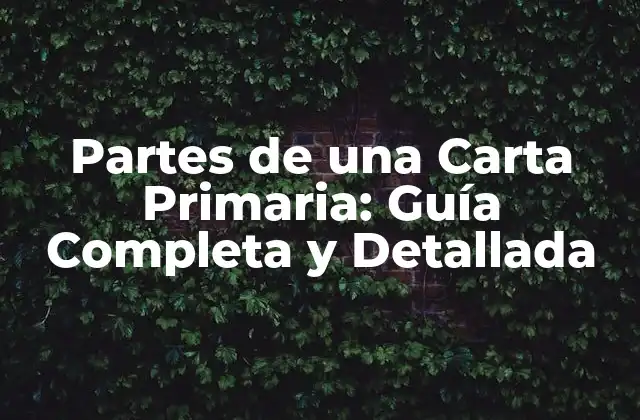 Partes de una Carta Primaria: Guía Completa y Detallada