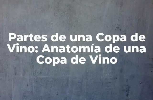 La Base de la Copa de Vino: Estabilidad y Equilibrio