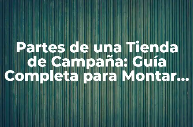 Partes de una Tienda de Campaña: Guía Completa para Montar Tu Negocio