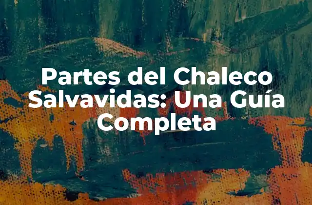 Partes Del Chaleco Salvavidas: una Guía Completa 2 La Capa Exterior del Chaleco Salvavidas