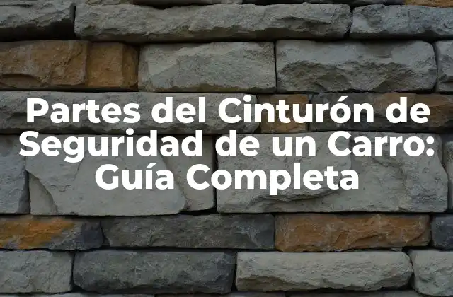 ¿Qué es el Cinturón de Seguridad?