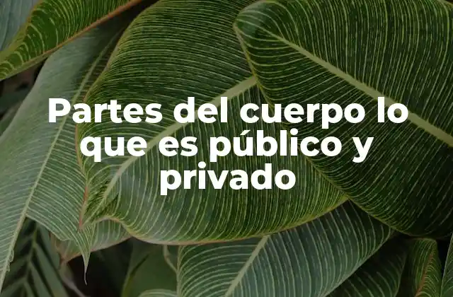 Partes Del Cuerpo Lo que es Público y Privado