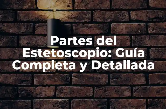 Partes Del Estetoscopio: Guía Completa y Detallada