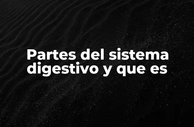 Partes Del Sistema Digestivo y que es