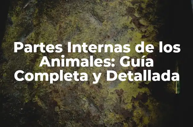 Partes Internas de los Animales: Guía Completa y Detallada
