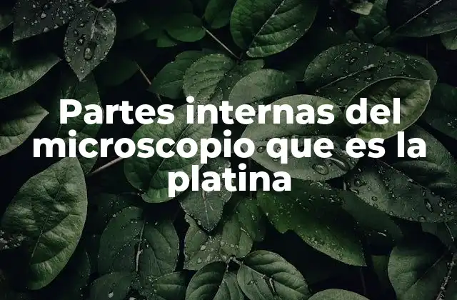 Componentes que trabajan junto a la platina