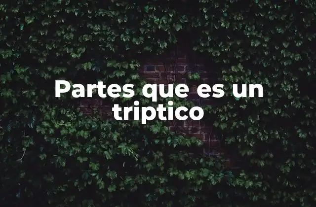 Estructura visual de un tríptico