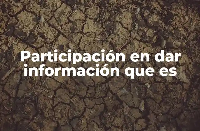 El rol de la participación en la construcción de conocimiento