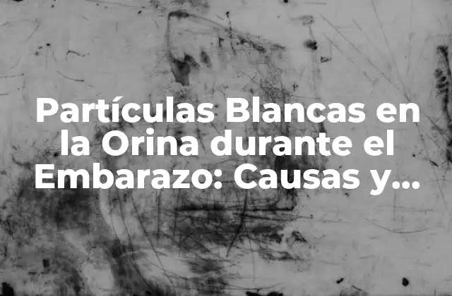 Partículas Blancas en la Orina durante el Embarazo: Causas y Significado