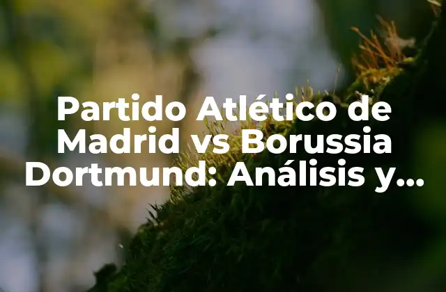 Partido Atlético de Madrid Vs Borussia Dortmund: Análisis y Estadísticas