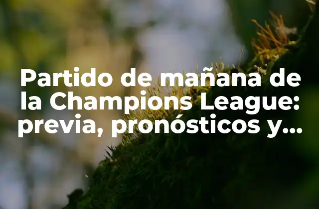 Partido de Mañana de la Champions League: Previa, Pronósticos y Resultado
