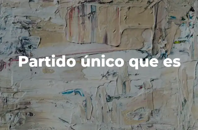 Partido Único que es