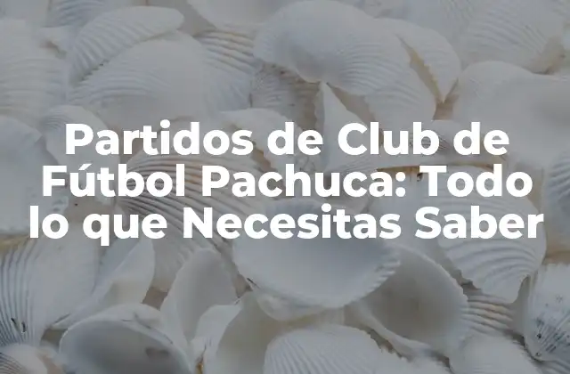 Historia del Club de Fútbol Pachuca