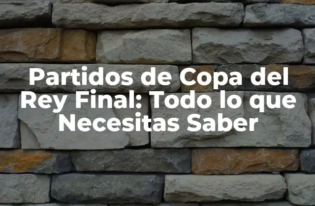 Partidos de Copa Del Rey Final: Todo Lo que Necesitas Saber