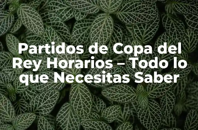 Partidos de Copa Del Rey Horarios - Todo Lo que Necesitas Saber 2 Importancia de Conocer los Horarios de los Partidos de Copa del Rey