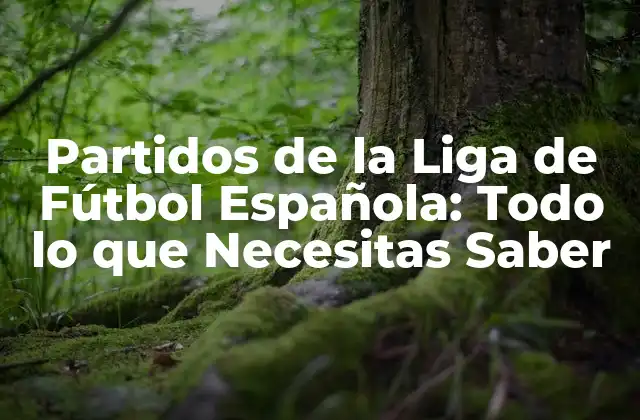 Partidos de la Liga de Fútbol Española: Todo Lo que Necesitas Saber
