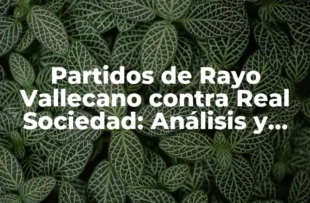 Partidos de Rayo Vallecano contra Real Sociedad: Análisis y Resultados