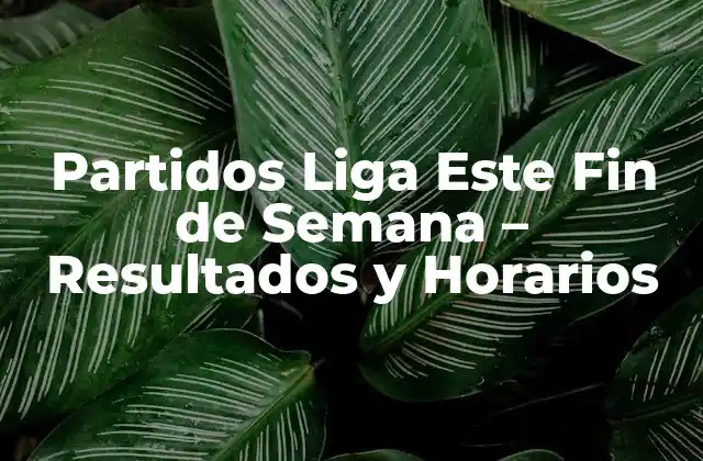 Partidos Liga Este Fin de Semana – Resultados y Horarios