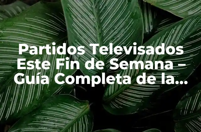 Partidos Televisados Este Fin de Semana – Guía Completa de la Temporada
