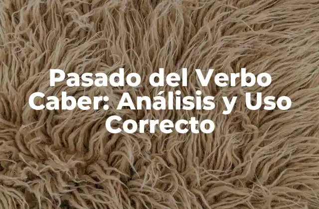 Pasado Del Verbo Caber: Análisis y Uso Correcto