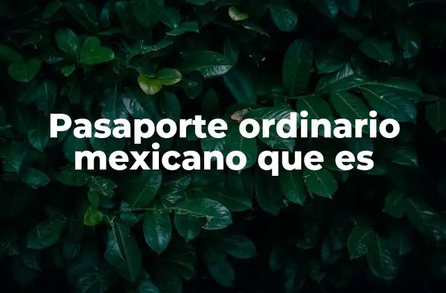 Pasaporte Ordinario Mexicano que es