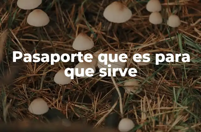 Pasaporte que es para que Sirve