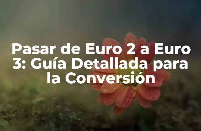 Pasar de Euro 2 a Euro 3: Guía Detallada para la Conversión 2 ¿Qué son los estándares Euro de emisiones?