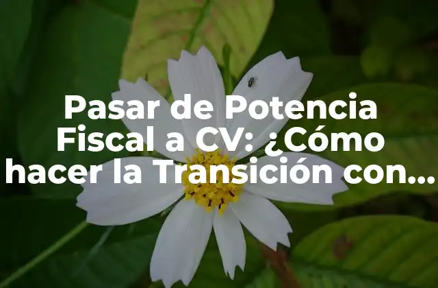 Pasar de Potencia Fiscal a Cv: ¿cómo Hacer la Transición con Éxito?