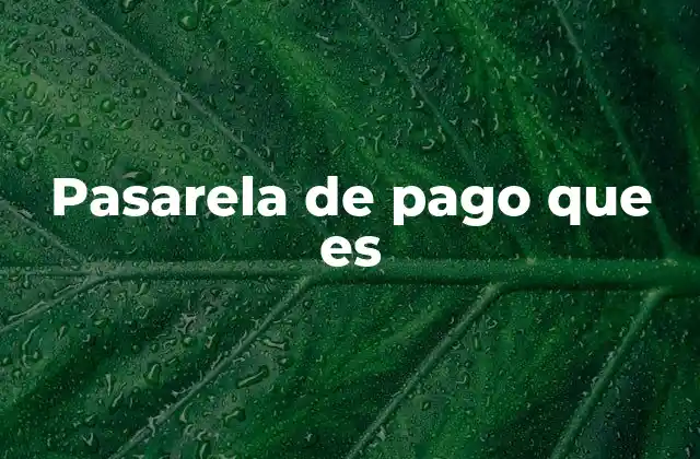 Pasarela de Pago que es