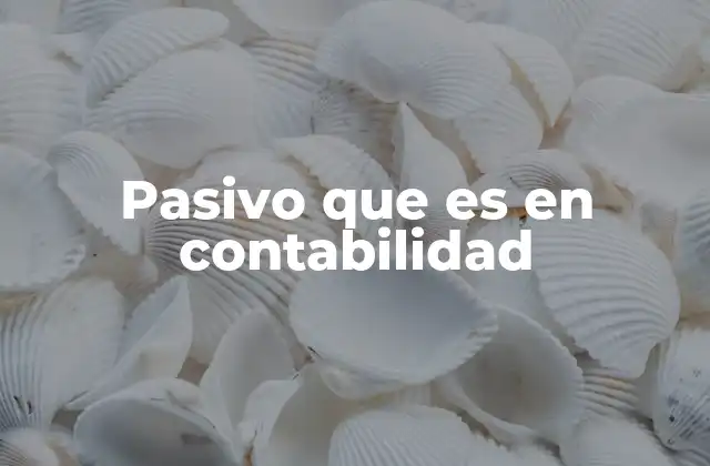 Pasivo que es en Contabilidad