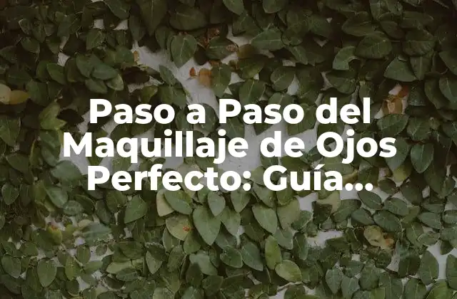 Paso a Paso Del Maquillaje de Ojos Perfecto: Guía Completa