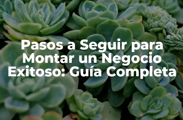 Pasos a Seguir para Montar un Negocio Exitoso: Guía Completa