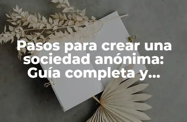 Pasos para Crear una Sociedad Anónima: Guía Completa y Detallada