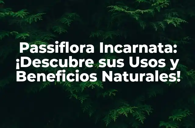 Composición Química de la Passiflora Incarnata: Los Secretos detrás de sus Propiedades