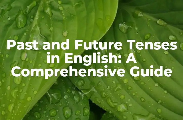 Past And Future Tenses In English: a Comprehensive Guide 2 What are the Past Tenses in English?