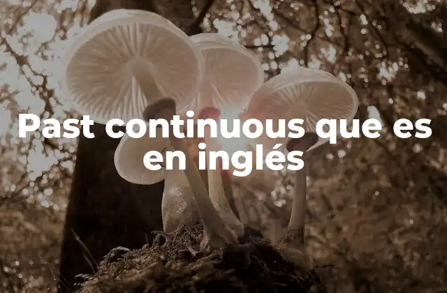 Past Continuous que es en Inglés
