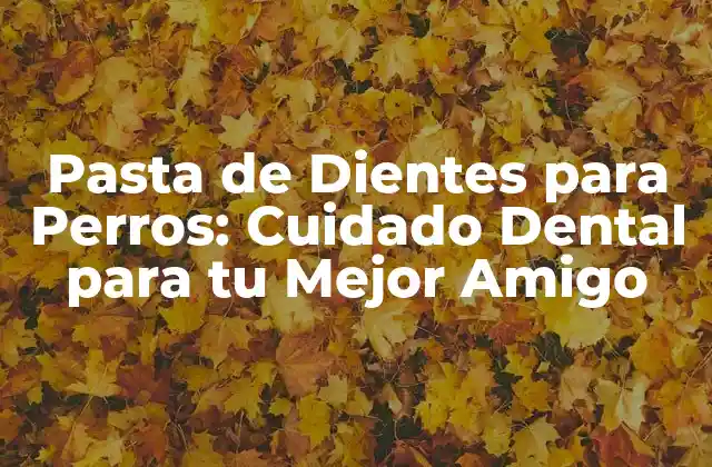 Pasta de Dientes para Perros: Cuidado Dental para Tu Mejor Amigo 2 ¿Por qué es Importante Cepillar los Dientes de tu Perro?