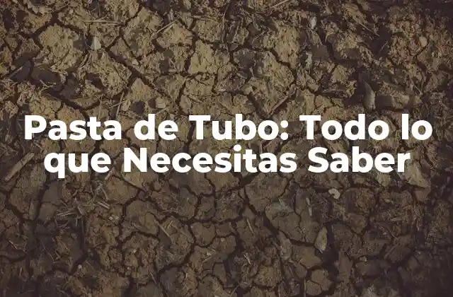 Pasta de Tubo: Todo Lo que Necesitas Saber